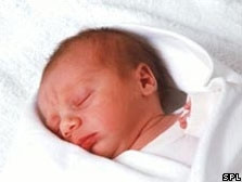 Các nhà khoa học nghiên cứu
những gia phả từ năm 1600.