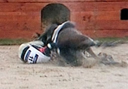 Kim Hyung-chil sau cú ngã ngựa.