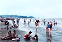 Cửa Lò quyến rũ