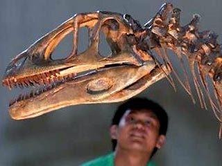 Mô hình bộ xương khủng long tại triển lãm.