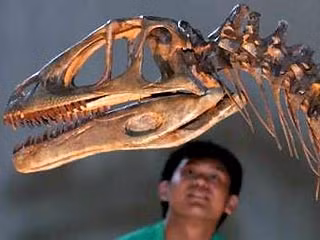 Mô hình bộ xương khủng long tại triển lãm.