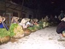 Chợ đêm Thổ Tang.