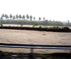 Philippines: Bão Chanchu làm 24 người chết