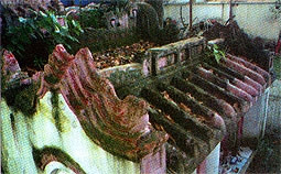 Bí ẩn những ngôi mộ cổ ở TP Hồ Chí Minh