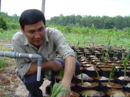 VACDONA - thương hiệu của giống cây ăn trái đặc sản