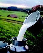 Sữa gầy là gì?