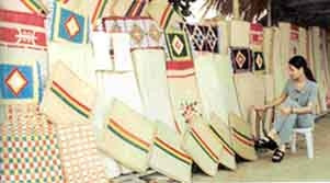 Giành lại thương hiệu chiếu Nga Sơn