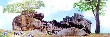 Thiền Thất Chơn Nguyên, điểm du lịch kỳ thú