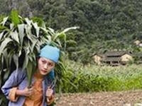 Hải Yến.