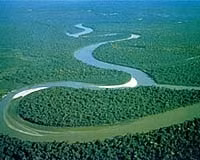 Sông Amazon.