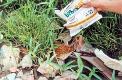 TP Hồ Chí Minh diệt chuột bằng vi sinh