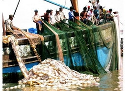 Ngư dân thị trấn Sông Đốc, huyện Trần Văn Thời (Cà Mau) khai thác thủy sản trên vùng biển tây nam.