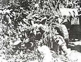 Kéo pháo vào trận địa Điện Biên Phủ.