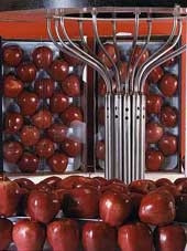 Máy chiếu xạ cobalt 60<br>khá thông dụng trong việc<br> bảo đảm an toàn thực phẩm.