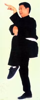 Võ sư Đặng Kim Anh
trong thế võ Kim kê độc lập.