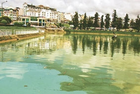 Hồ Xuân Hương bị ô nhiễm.