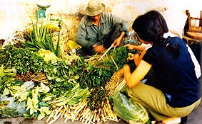 Chợ thuốc nam Đại Yên