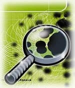 Biến thể sâu Santy mới tấn công cả Google, AOL và Yahoo!