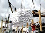 Nông nghiệp 60 năm phát triển