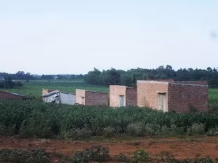 Xây nhà tạm bợ nhằm chiếm đất sản xuất của Nông trường Vân Hòa.