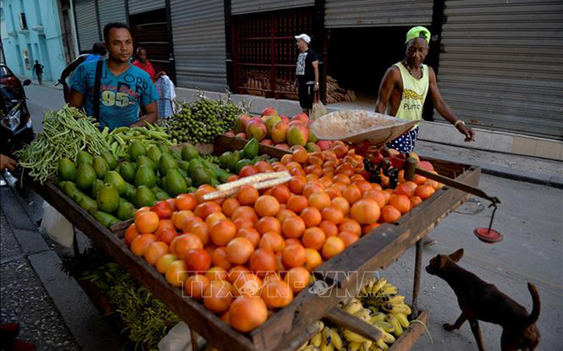 (Người dân bán rau quả trên đường phố tại La Habana, Cuba. Ảnh: AFP/TTXVN)