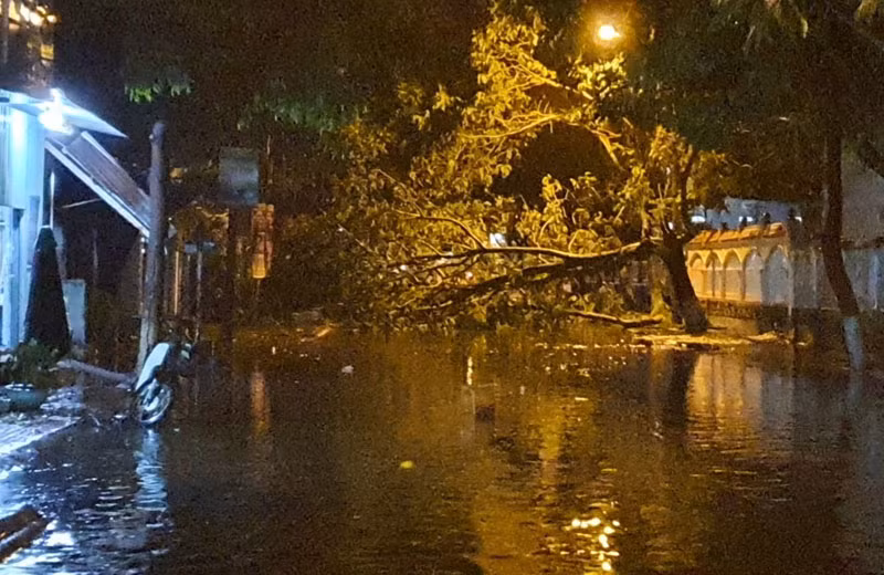 Tuyến đường Ngô Quyền, TP Kon Tum bị ngập cùng cây gãy chắn ngang đường, khiến cho người dân không lưu thông được.