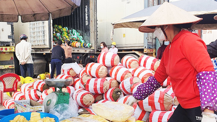 Gần 100 tấn trái cây ùn ứ ở cửa khẩu biên giới Lạng Sơn sắp hết thời hạn bảo quản. Ảnh: KIÊN TRUNG