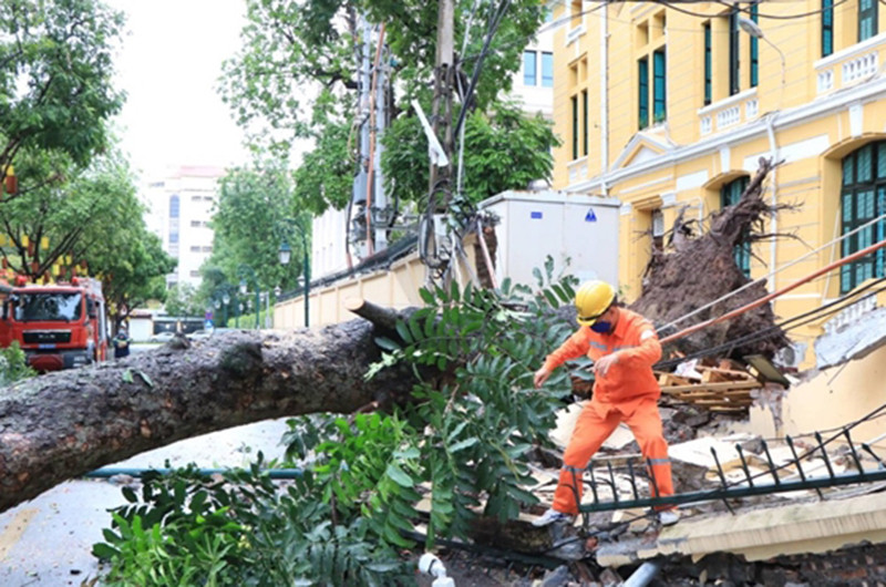 Lực lượng chức năng xử lý sự cố cây đổ. Ảnh: HIỆP BÌNH