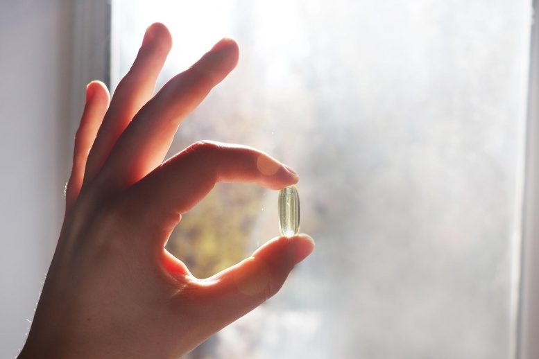 Con người nhận vitamin D từ ánh nắng mặt trời, thực phẩm (như cá béo, gan bò, phô mai và lòng đỏ trứng) và các chất bổ sung.