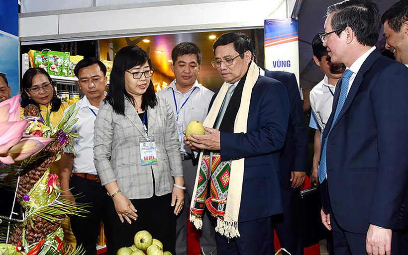 Thủ tướng Phạm Minh Chính tham quan các gian hàng tại triển lãm trái cây, sản phẩm nông nghiệp và sản phẩm OCOP. 