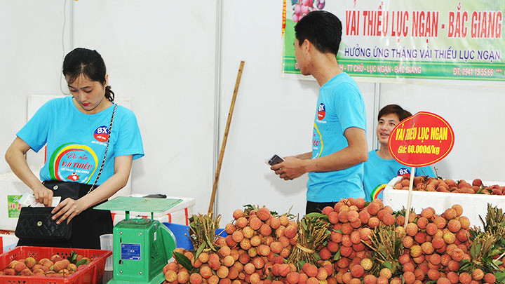 Vải thiều Lục Ngạn được cấp bảo hộ chỉ dẫn địa lý tại Nhật Bản