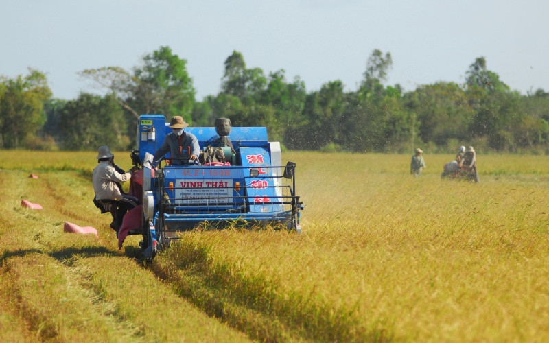 Nông dân đang gặp khó do giá vật tư nông nghiệp tăng cao. (Ảnh: Thanh Vũ)