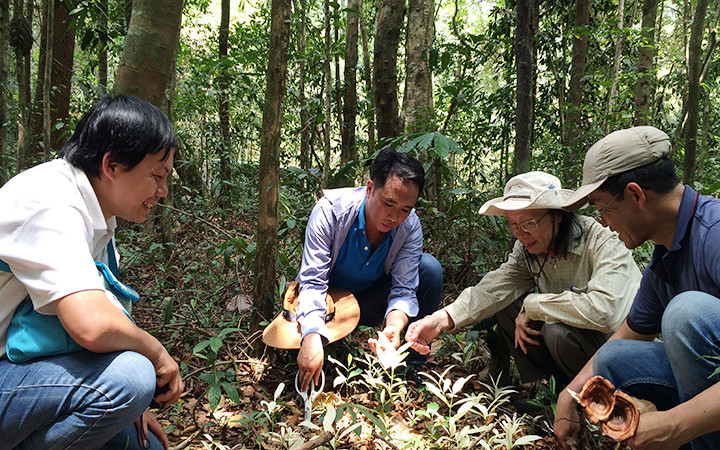 PGS, TS Nguyễn Hoàng Nghĩa (thứ hai từ phải sang) trong chuyến công tác tại Phú Quốc (Kiên Giang).