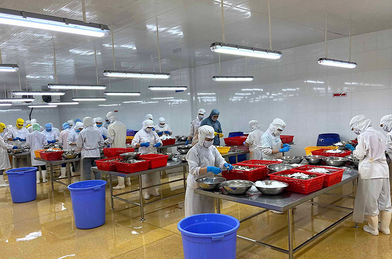 Hoạt động sản xuất trong thời gian giãn cách tại Công ty Cổ phần Camimex Group Cà Mau.