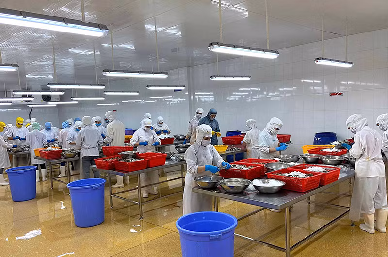 Hoạt động sản xuất trong thời gian giãn cách tại Công ty Cổ phần Camimex Group Cà Mau.