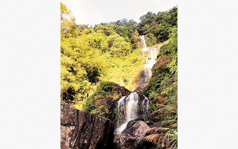 Vượt thác Vũ Môn