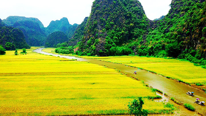 Bức họa đồng quê tháng 5