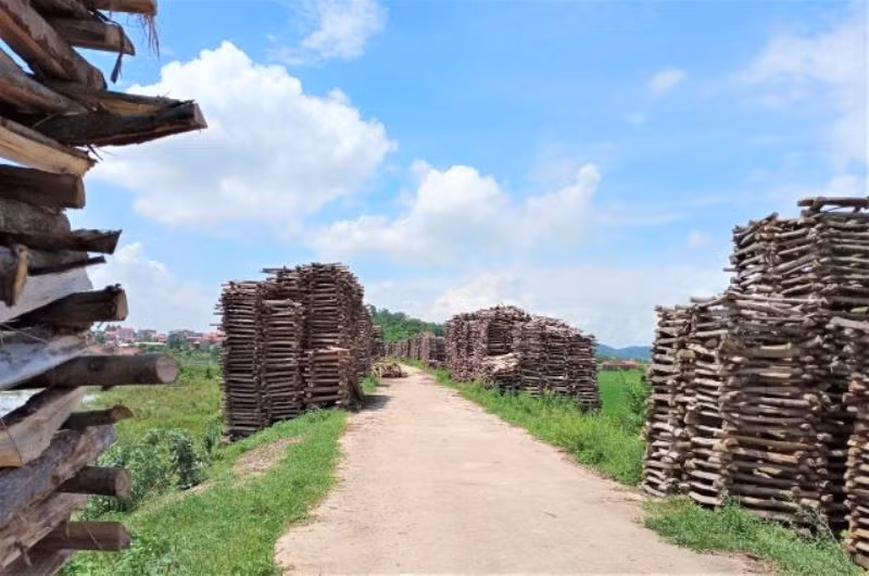 Đường vào làng gốm Phù Lãng chất đầy củi khô để đốt lò.