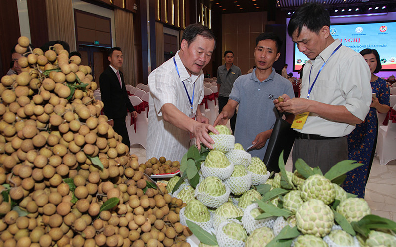 Gian hàng trưng bày quảng bá mặt hàng nông sản của Hợp tác xã Bảo Minh.