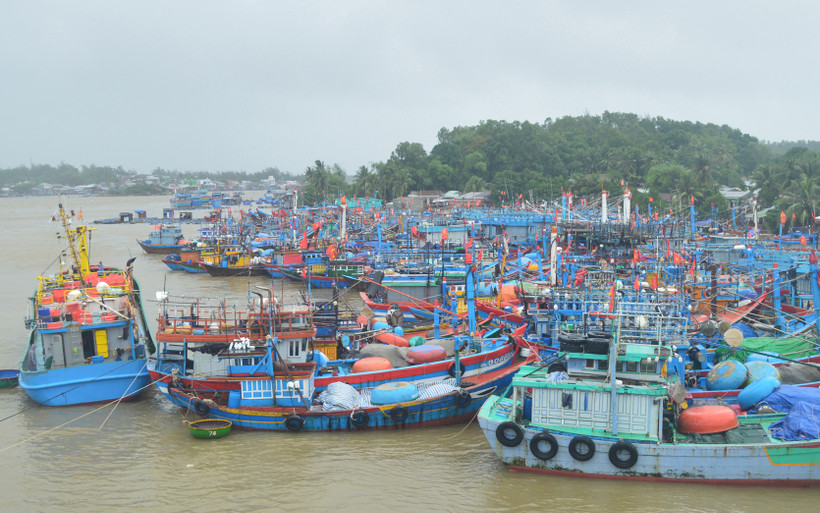 Hàng nghìn tàu cá Quảng Ngãi đã vào bờ tránh trú bão số 9.