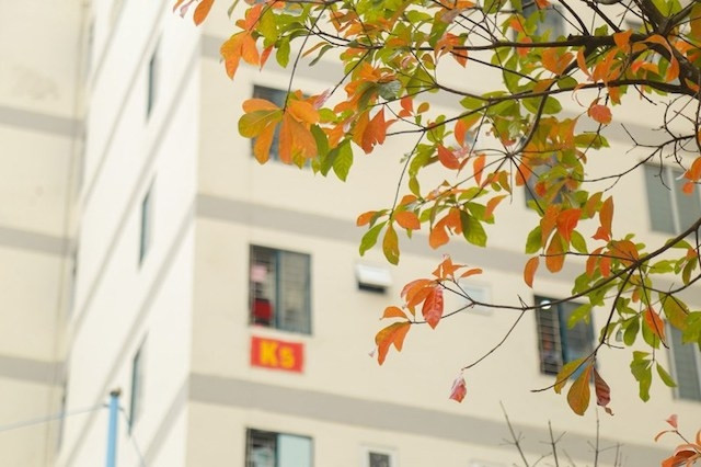 Trong khuôn viên Học viện Cảnh sát nhân dân (Ảnh: HVCSND)