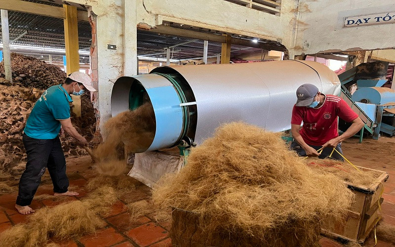 Hợp tác xã nông nghiệp Định Thủy giải quyết việc làm cho nhiều lao động ở nông thôn.