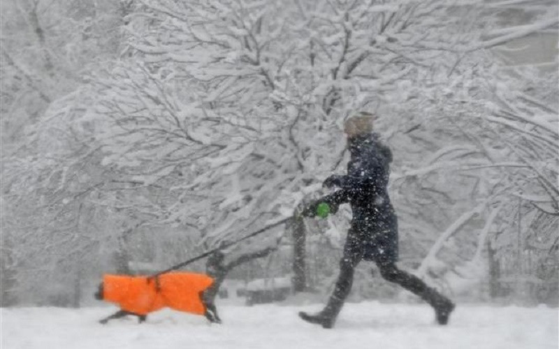 Tuyết rơi dày đặc tại Washington, D.C. (Mỹ) ngày 3/1/2022. (Ảnh: AFP/TTXVN)