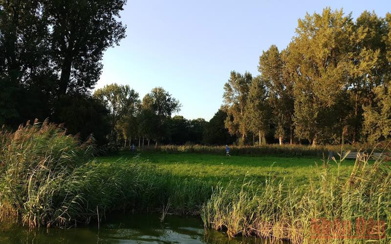 Một góc thiên nhiên thanh bình. (Ảnh: Hà Tú Anh)