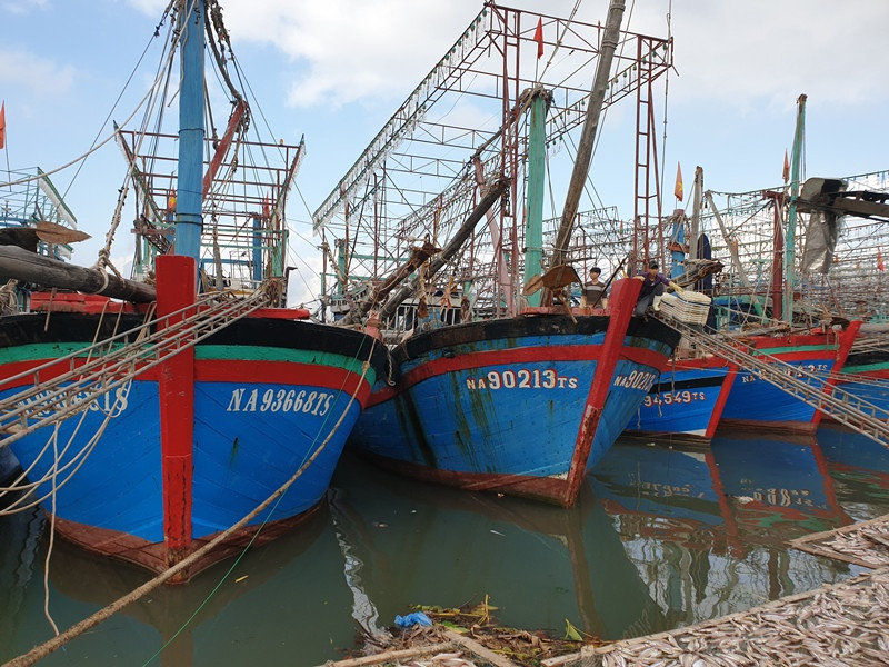 Các tàu đánh cá được hỗ trợ lắp đặt thiết bị giám sát hành trình, có điều kiện vươn khơi, bám biển dài ngày cho hiệu quả kinh tế cao.    