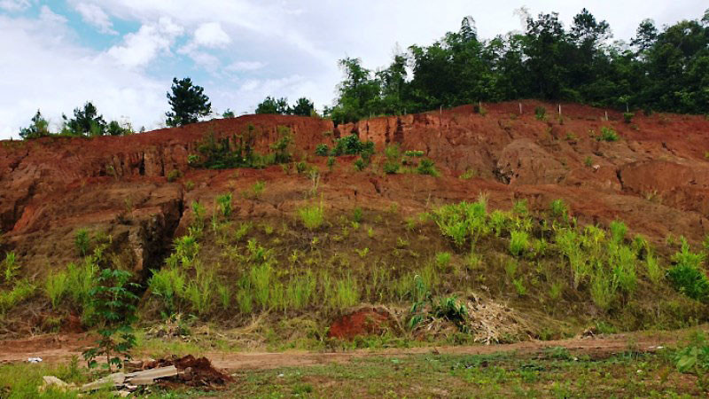 Vị trí sạt lở phía sau Trung tâm y tế huyện Ba Bể. 