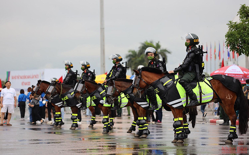 Cận cảnh dàn kỵ binh làm nhiệm vụ tại sân vận động Mỹ Đình