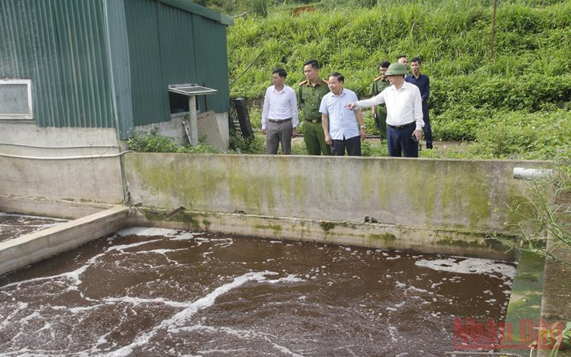 Đoàn kiểm tra của Sơn La kiểm tra tại Công ty trách nhiệm hữu hạn sản xuất và thương mại Cát Quế.