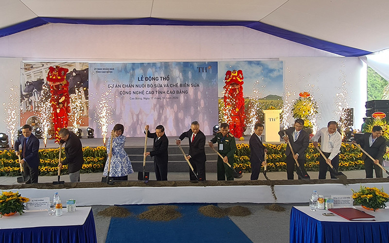 Các đại biểu động thổ dự án chăn nuôi bò sữa và chế biến sữa công nghệ cao.