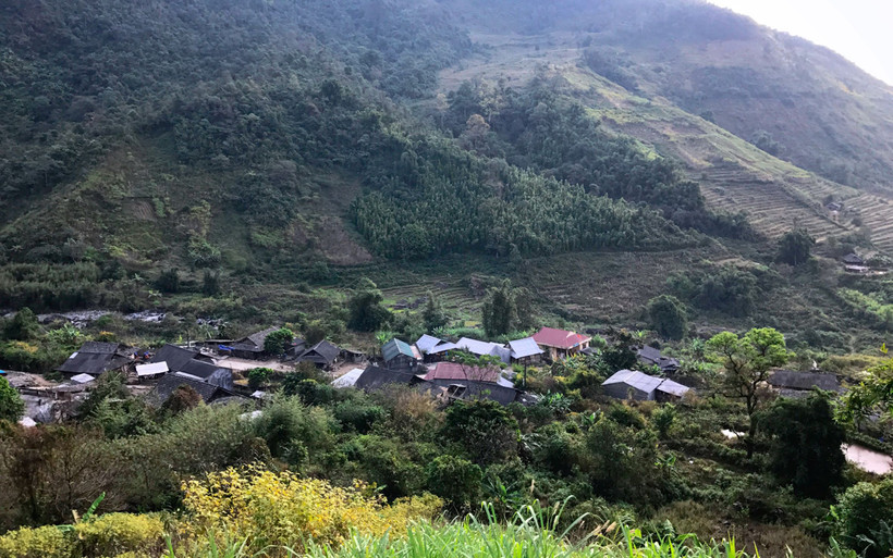 Xanh ngát màu Pu Ta Leng
